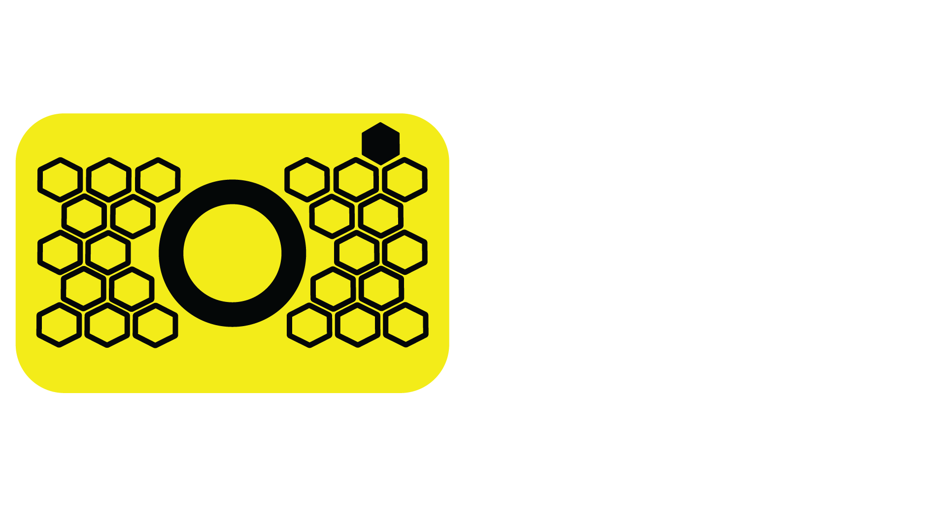 Auslan Bee Photography